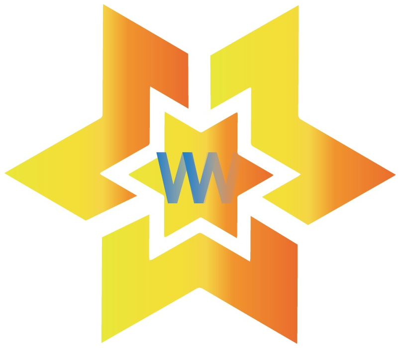 MFP Star 2025 award